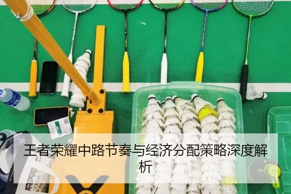 王者荣耀中路节奏与经济分配策略深度解析