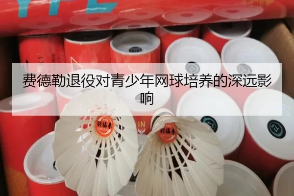 费德勒退役对青少年网球培养的深远影响